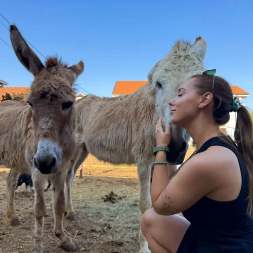A warm encounter with donkeys at Maria’s Ranch