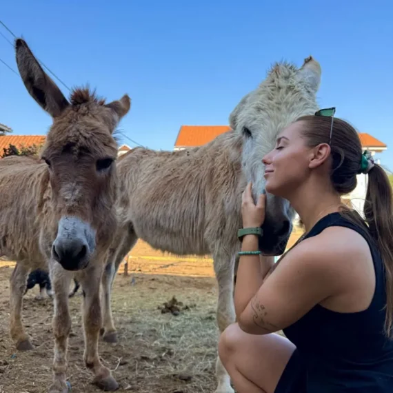 A warm encounter with donkeys at Maria’s Ranch