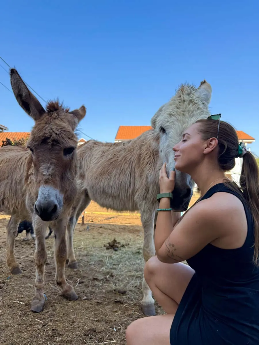 A warm encounter with donkeys at Maria’s Ranch