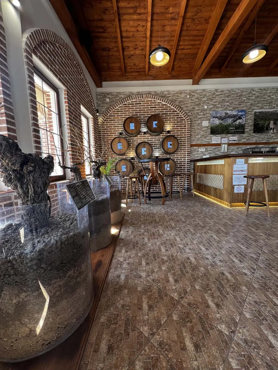 The cellar and tasting atmosphere at Tikvesh Winery