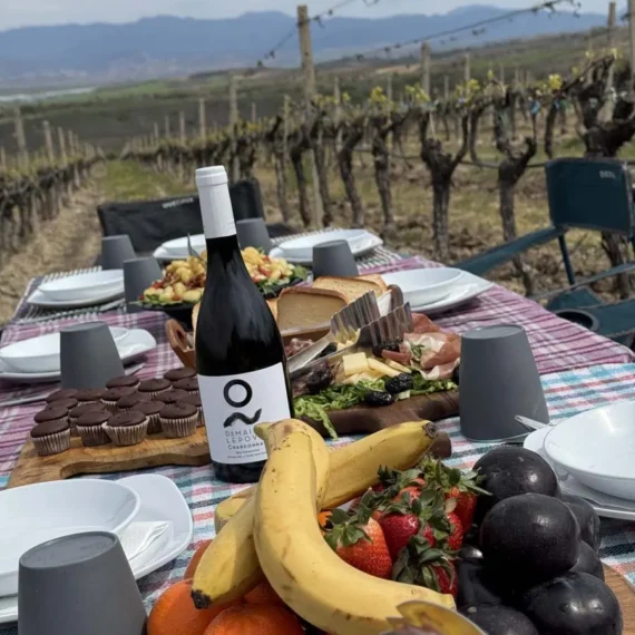 Food and wine served beside the vines