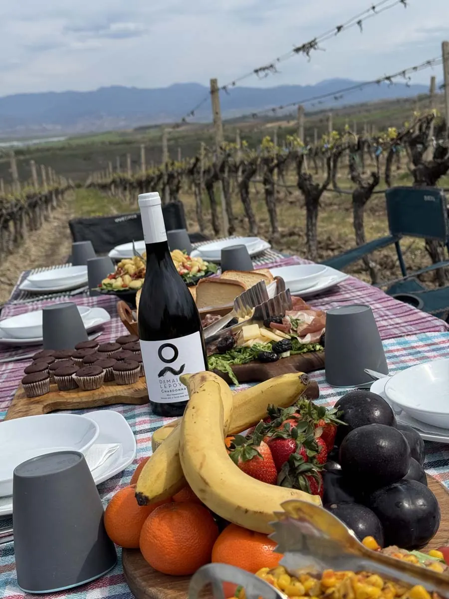 Food and wine served beside the vines
